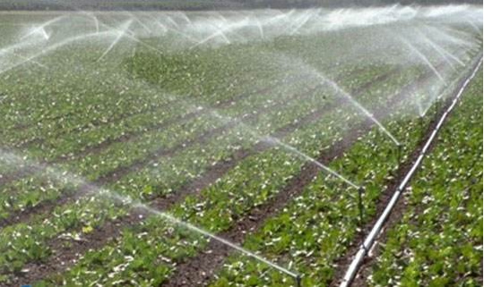 西安水泵農業灌溉